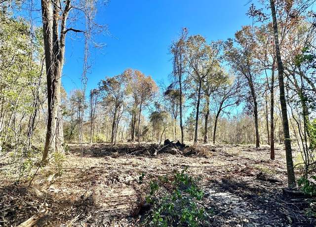 Property at 001 China Rd N, China, TX 77713