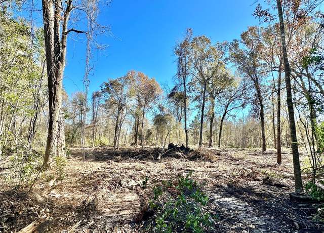 Property at 001 China Rd N, China, TX 77713