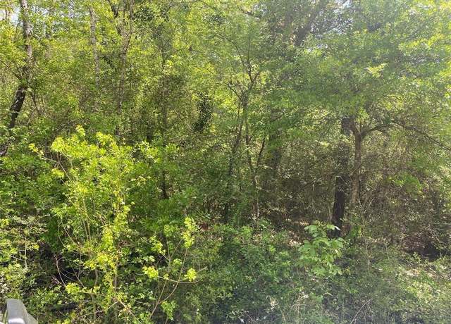 Property at 00 Hollybrook Dr, Plantersville, TX 77363