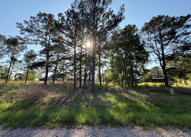 Property at TBD Davenport Dr, Livingston, TX 77351