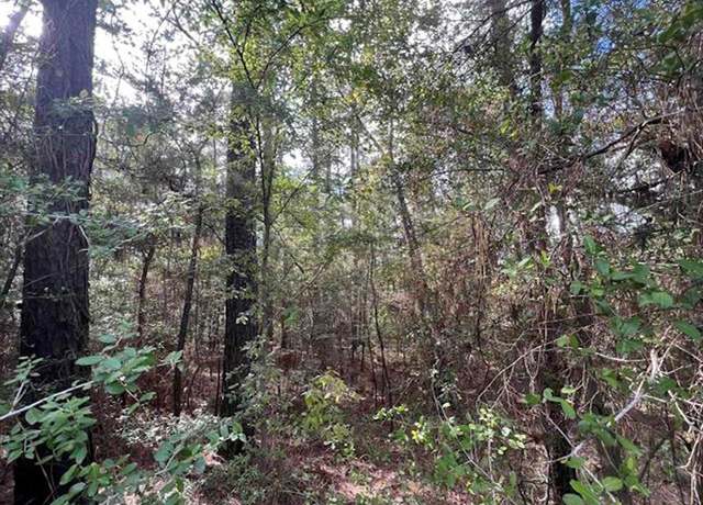Property at 000 Vantage Dr, Brookeland, TX 75931
