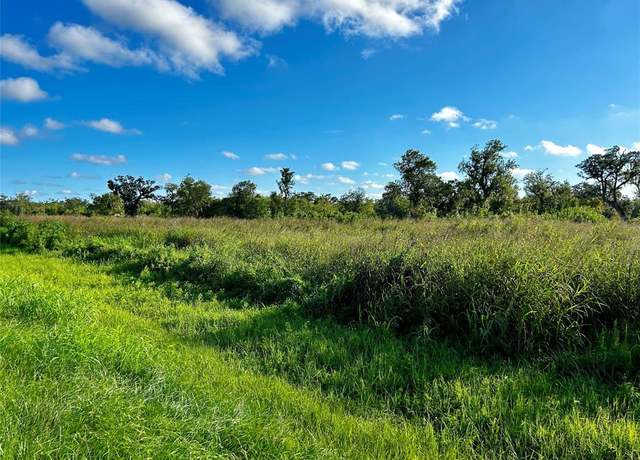 Property at 20406 County Road 461, Brazoria, TX 77422