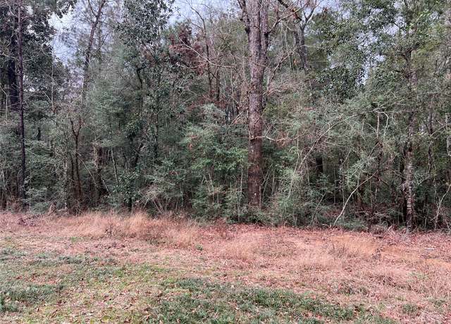 Property at TBD Road 2723, Cleveland, TX 77327