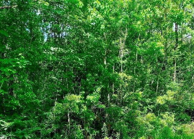 Property at 0 Ferito, Buna, TX 77612