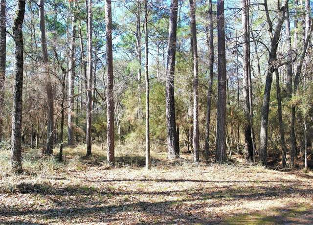 Property at 3 Magnolia Ct, Trinity, TX 75862