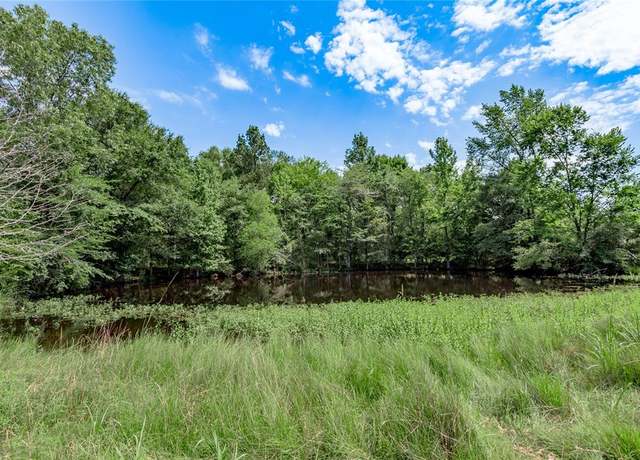 Property at TBD Neal Helton Rd, Kennard, TX 75847