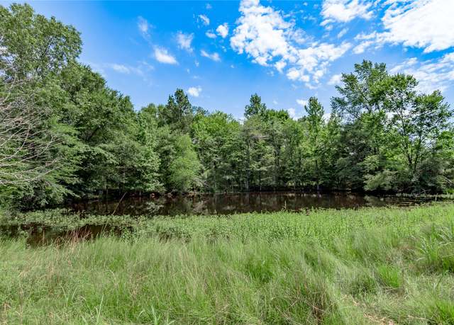 Property at TBD Neal Helton Rd, Kennard, TX 75847
