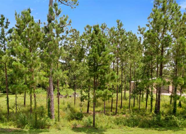 Property at 7203 Bayou Timbers Dr, Alvin, TX 77511