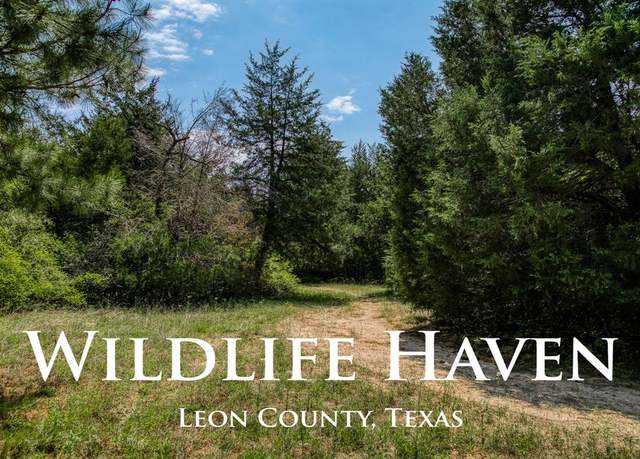 Property at 7266 County Road 449, Marquez, TX 77865