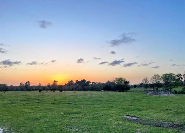 Property at TBD County Road 211, Anderson, TX 77830