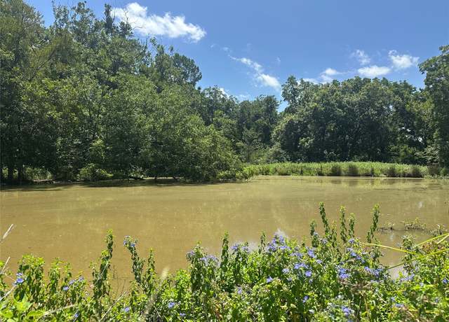 Property at 32AC County Road 2521, Oakwood, TX 75855