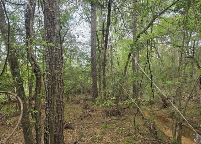 Property at 000 Tbd Reece Branch Ct, Coldspring, TX 77331