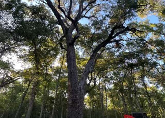 Property at 658 Pony Trl, Angleton, TX 77515