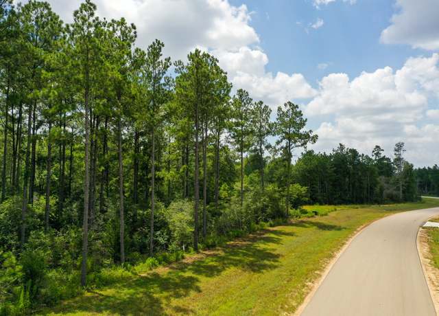 Property at 10784 Ruger Road Rd, Willis, TX 77378