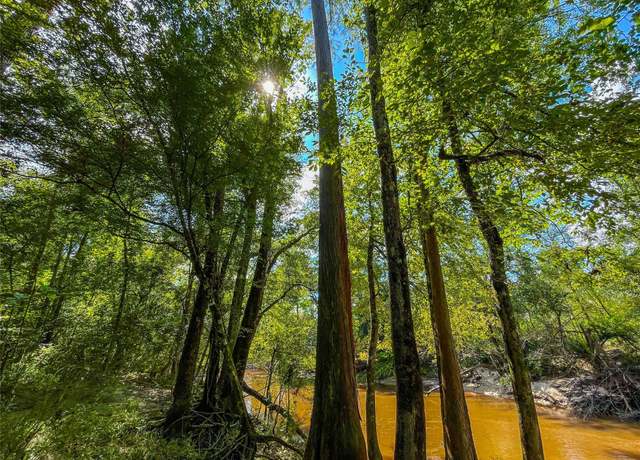 Property at TBD Private Road 8170, TX 75933