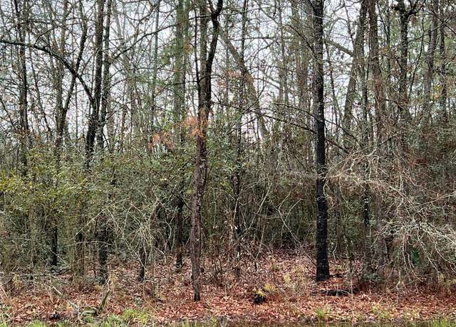 Property at 0 Whiteside Dr, Onalaska, TX 77360