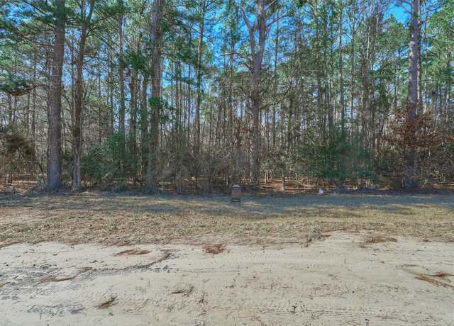 Property at 174 E Park Rd, Onalaska, TX 77360