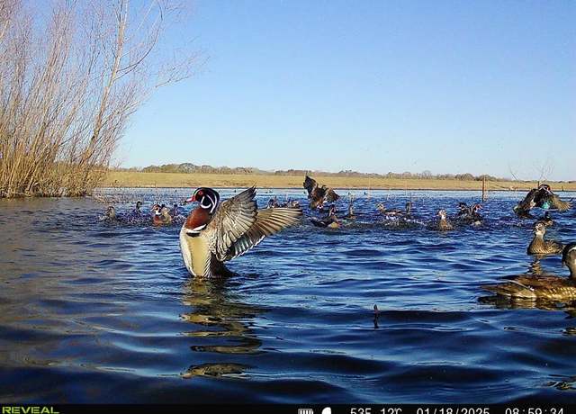 Property at 0 Highway 30, College Station, TX 77830