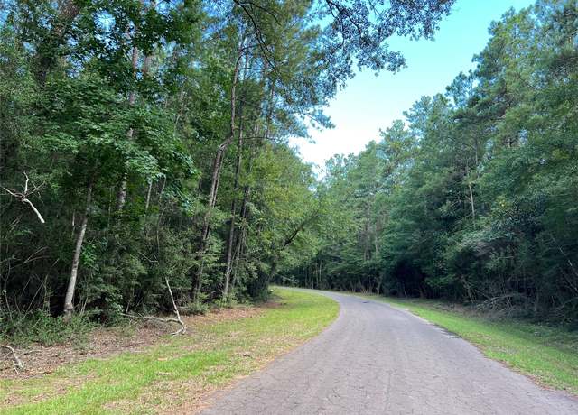 Property at TBD White Poplar Dr, Village Mills, TX 77663