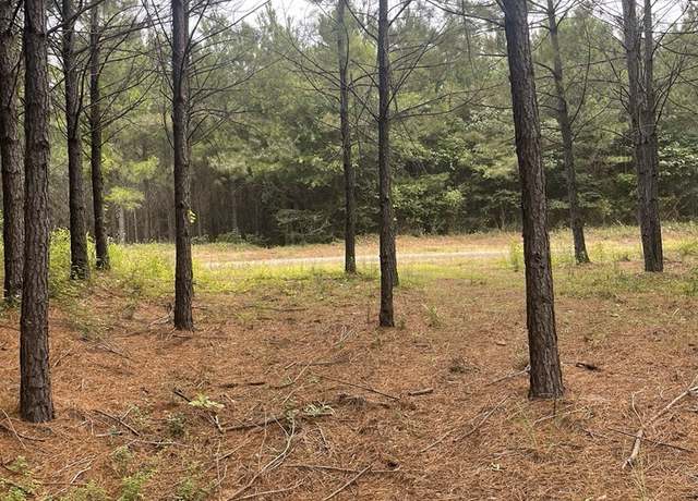 Property at TBD Cr 1090, Center, TX 75935