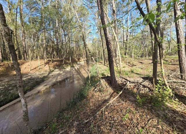 Property at 97 W Oak Tree Dr, Point Blank, TX 77364