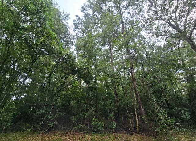 Property at 0 County Road 377, Cleveland, TX 77327