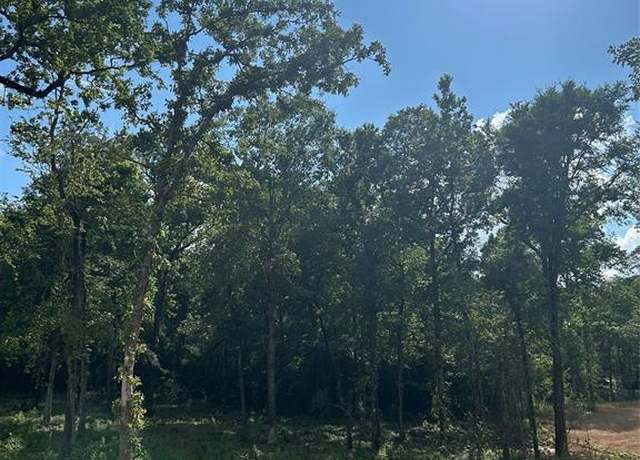 Property at 11363 Annie Creek Dr, Willis, TX 77378