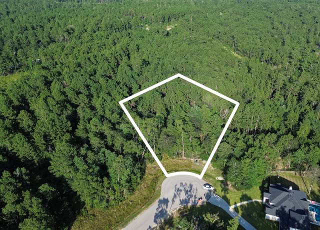 Property at 102 Eagle Run Rd, Willis, TX 77378