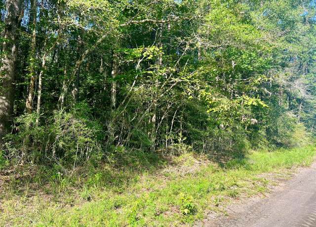 Property at TBD 53 Tw Dickens, Livingston, TX 77351
