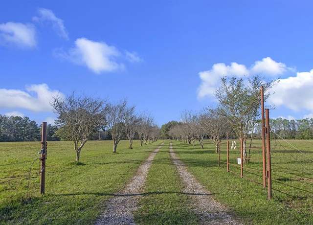 Property at 219 Clint Hawkins Rd, Huntington, TX 75949, 2 beds, 2 baths