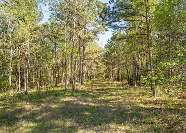 Property at 000 Bighorn Rd, New Waverly, TX 77358