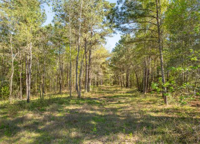 Property at 000 Bighorn Rd, New Waverly, TX 77358