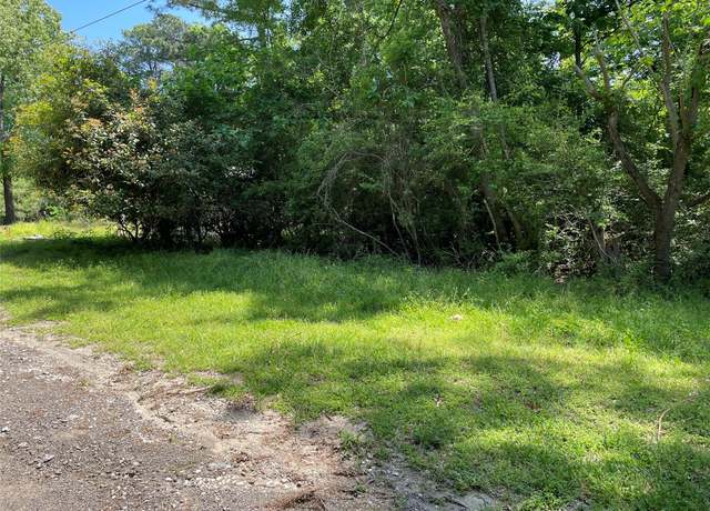 Property at 366 & 374 Rain Forest Rd, Onalaska, TX 77360
