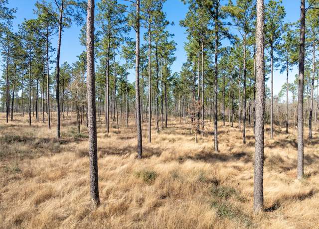 Property at TBD Lot 11 Red Lowe Rd, Livingston, TX 77351