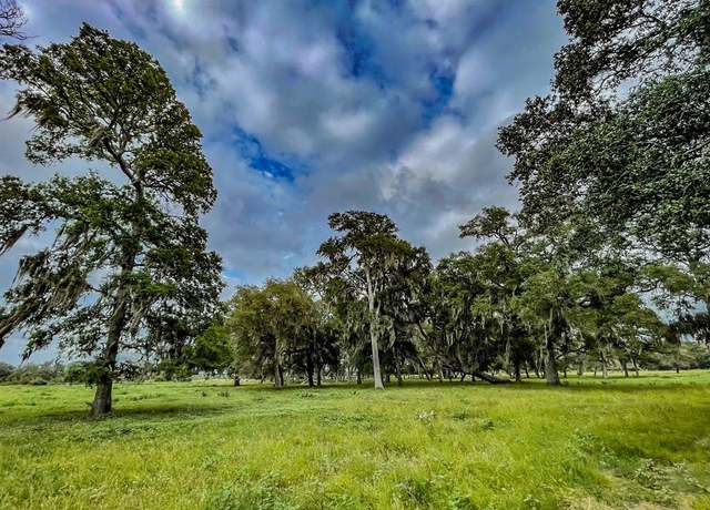 Property at 0 County Road 164 Weathers Rd, Cedar Lane, TX 77415