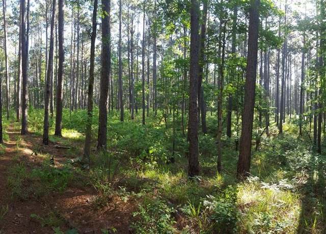 Property at TBD Canopy Rdg, Crockett, TX 75835