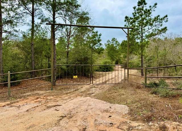 Property at 915 County Road 3266, Colmesneil, TX 75938