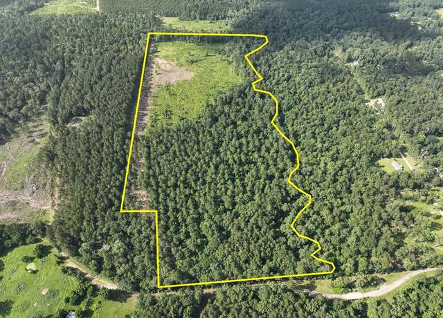 Property at 1 Dick Skinner Rd, Corrigan, TX 75939