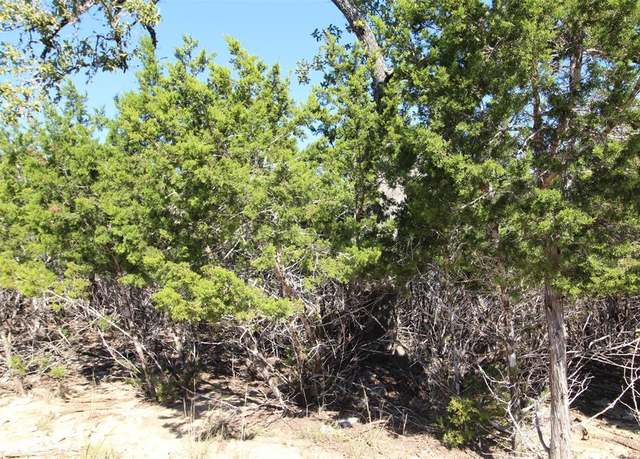 Property at 357 Big Bend Dr, Canyon Lake, TX 78133