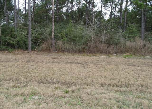 Property at 15649 Forest Grove Dr, Willis, TX 77378