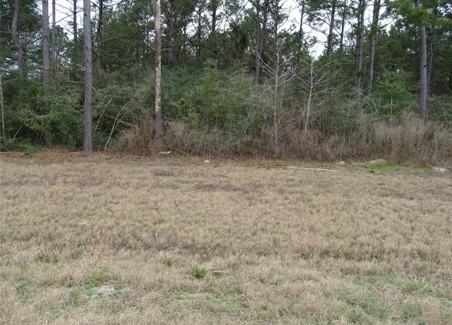 Property at 15649 Forest Grove Dr, Willis, TX 77378