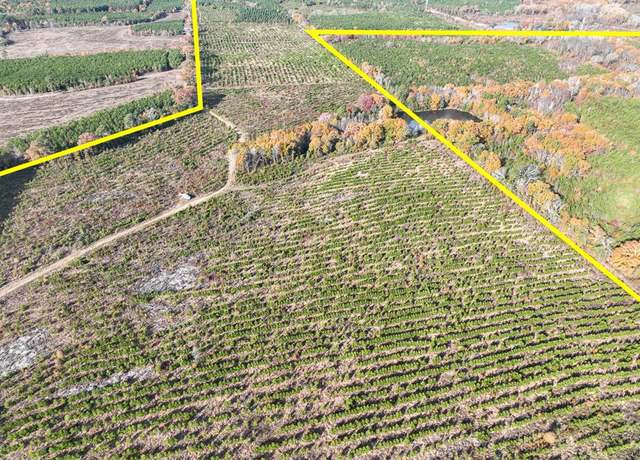 Property at 0 CR 3201, Daingerfield, TX 75638