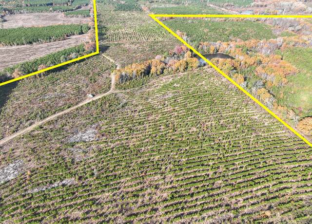 Property at 0 Cr 3201, Daingerfield, TX 75638