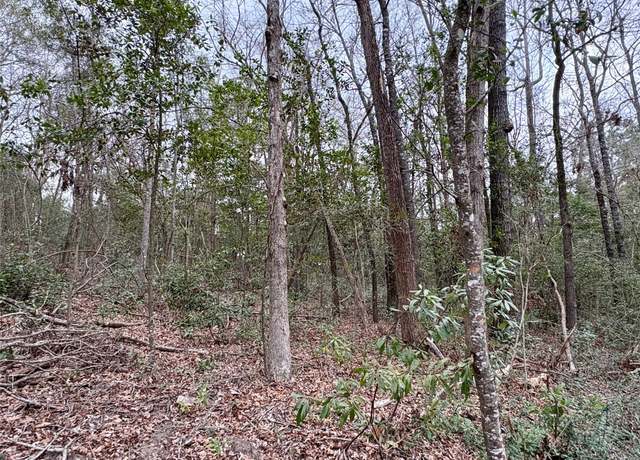 Property at TBD Hinson Hill Rd, Livingston, TX 77351