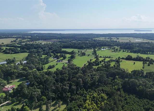 Property at TBD Fm 1988, Livingston, TX 77351