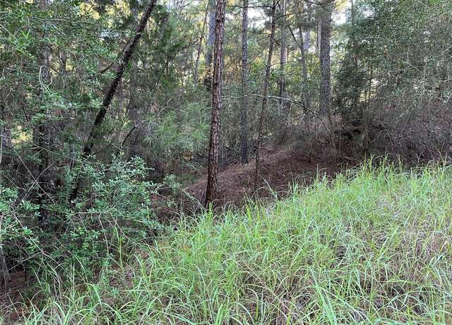 Property at 0000 Koa Ct W, Bastrop, TX 78602