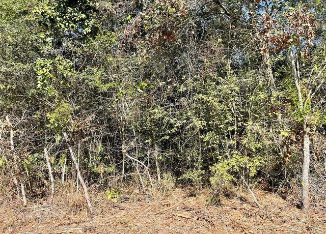 Property at 000 Bonnie Lake Dr, Hempstead, TX 77445