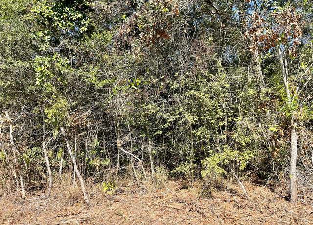 Property at 000 Bonnie Lake Dr, Hempstead, TX 77445