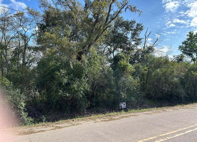 Property at 00 N Belt St, Brazoria, TX 77422