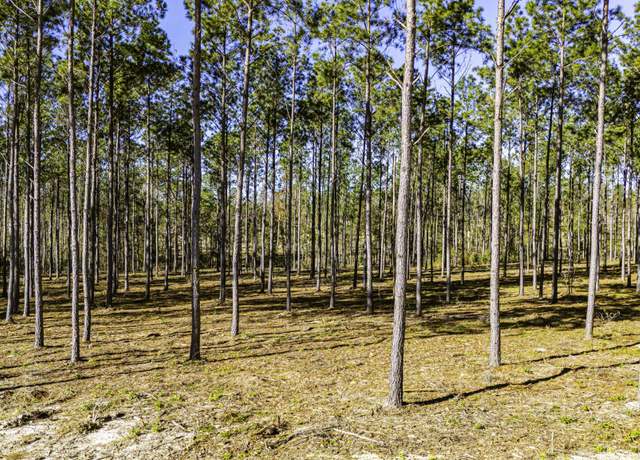 Property at 0013 Big Buck Dr, Moscow, TX 75960